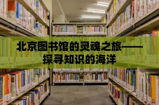 北京圖書館的靈魂之旅——探尋知識的海洋