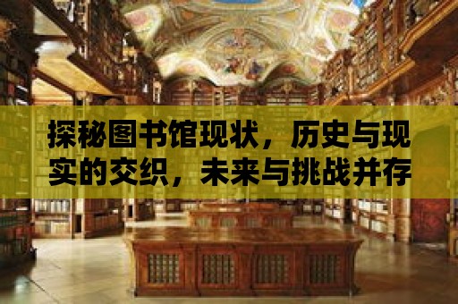 探秘圖書館現狀，歷史與現實的交織，未來與挑戰并存