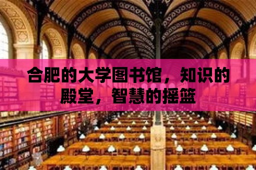 合肥的大學圖書館，知識的殿堂，智慧的搖籃