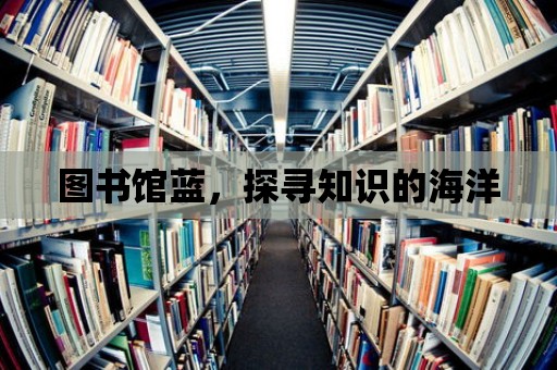 圖書館藍，探尋知識的海洋