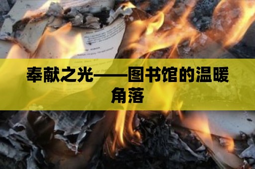 奉獻之光——圖書館的溫暖角落