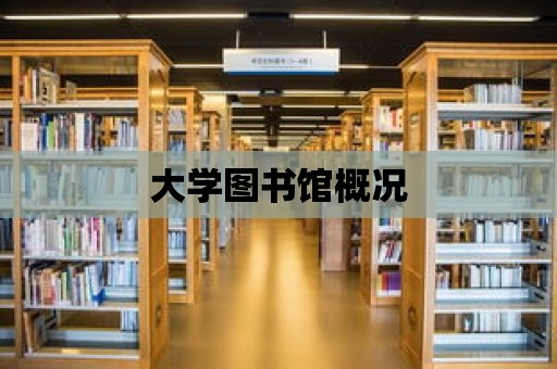 大學圖書館概況