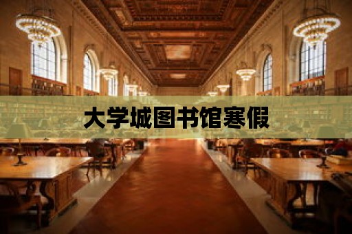 大學(xué)城圖書館寒假