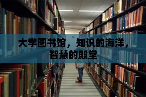 大學圖書館，知識的海洋，智慧的殿堂