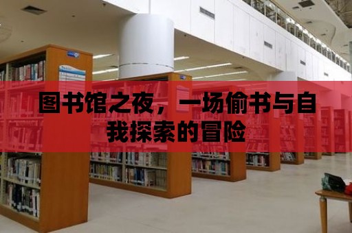 圖書館之夜，一場偷書與自我探索的冒險