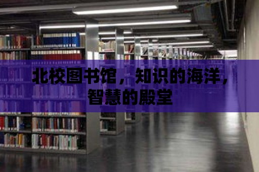 北校圖書館，知識的海洋，智慧的殿堂