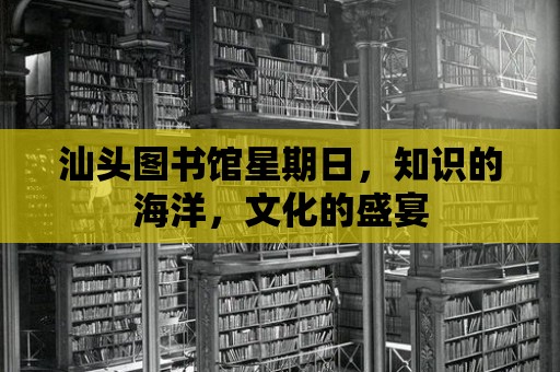 汕頭圖書館星期日，知識(shí)的海洋，文化的盛宴