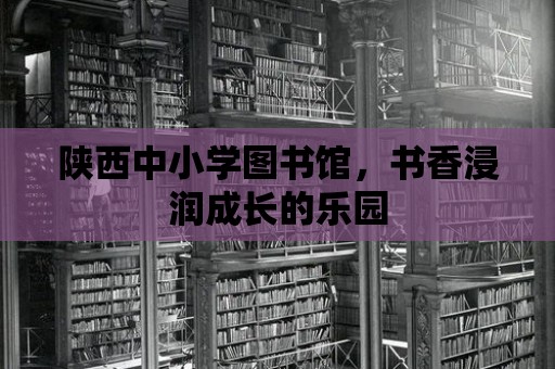 陜西中小學(xué)圖書館，書香浸潤成長的樂園