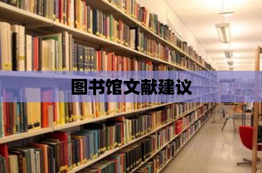 圖書館文獻建議