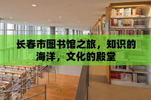 長(zhǎng)春市圖書(shū)館之旅，知識(shí)的海洋，文化的殿堂