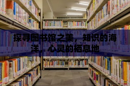 探尋圖書館之美，知識的海洋，心靈的棲息地