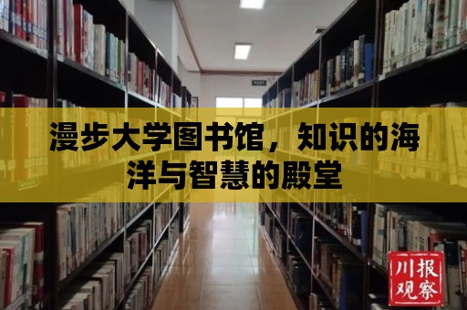 漫步大學圖書館，知識的海洋與智慧的殿堂