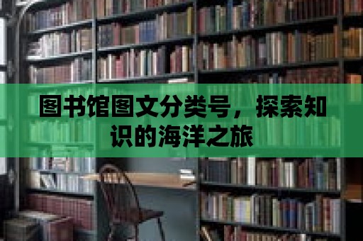 圖書館圖文分類號，探索知識的海洋之旅