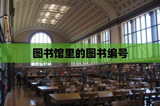 圖書館里的圖書編號