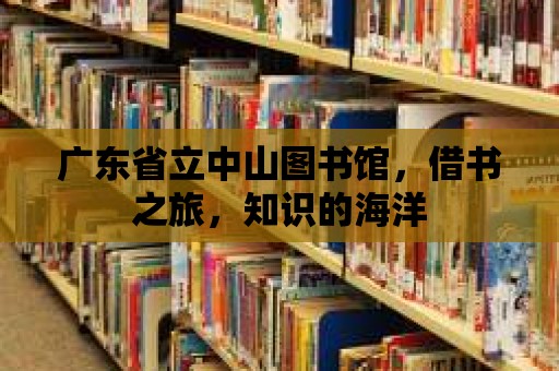 廣東省立中山圖書館，借書之旅，知識的海洋