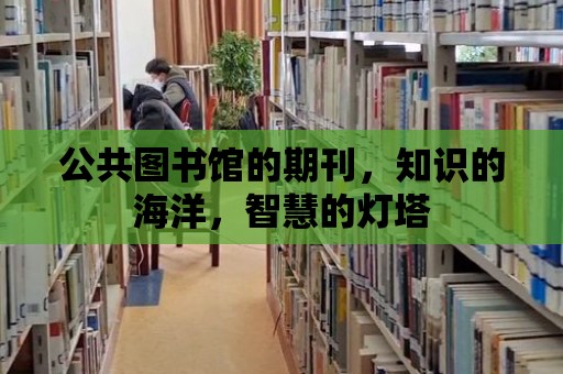 公共圖書館的期刊，知識的海洋，智慧的燈塔