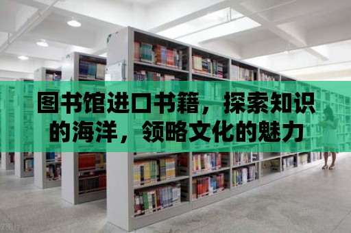 圖書館進口書籍，探索知識的海洋，領略文化的魅力