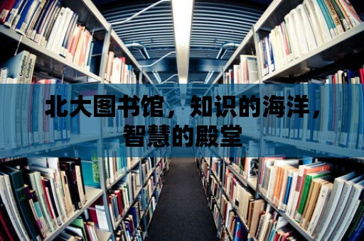 北大圖書館，知識的海洋，智慧的殿堂