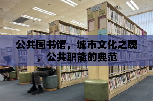 公共圖書館，城市文化之魂，公共職能的典范