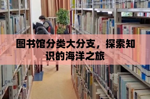 圖書館分類大分支，探索知識的海洋之旅