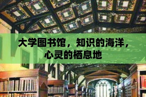 大學圖書館，知識的海洋，心靈的棲息地