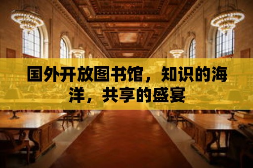 國外開放圖書館，知識的海洋，共享的盛宴