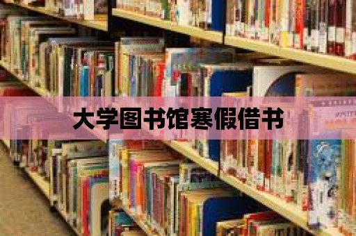 大學圖書館寒假借書