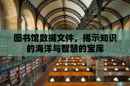 圖書館數據文件，揭示知識的海洋與智慧的寶庫