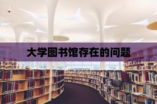 大學圖書館存在的問題