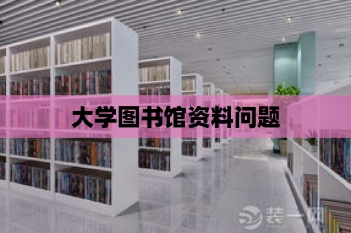 大學圖書館資料問題