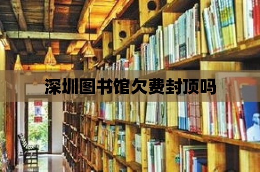 深圳圖書館欠費封頂嗎