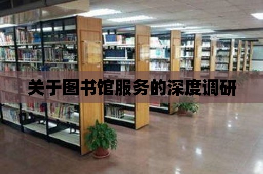 關于圖書館服務的深度調研