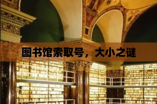 圖書館索取號，大小之謎