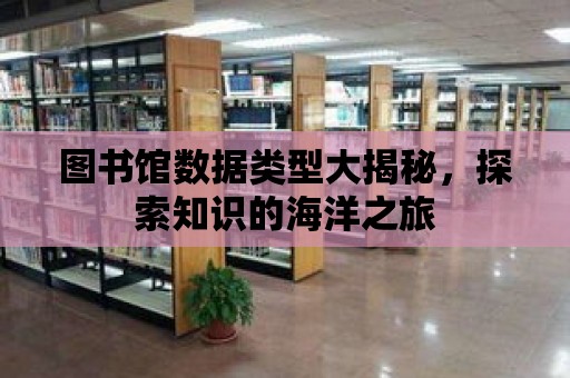 圖書館數據類型大揭秘，探索知識的海洋之旅