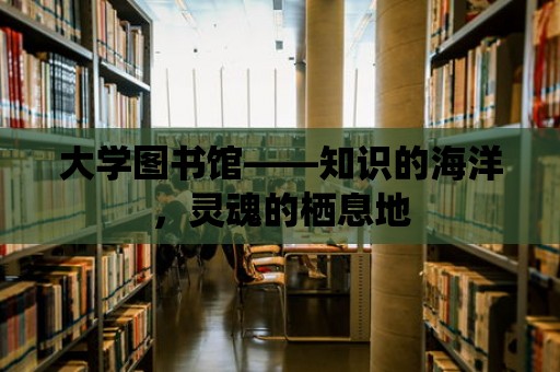 大學圖書館——知識的海洋，靈魂的棲息地