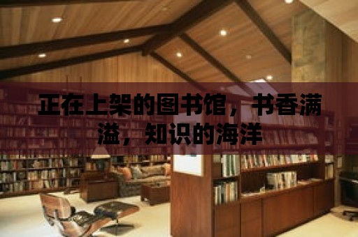 正在上架的圖書館，書香滿溢，知識的海洋