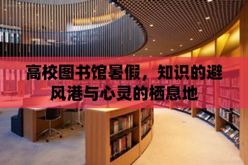 高校圖書館暑假，知識的避風港與心靈的棲息地