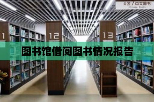 圖書館借閱圖書情況報告