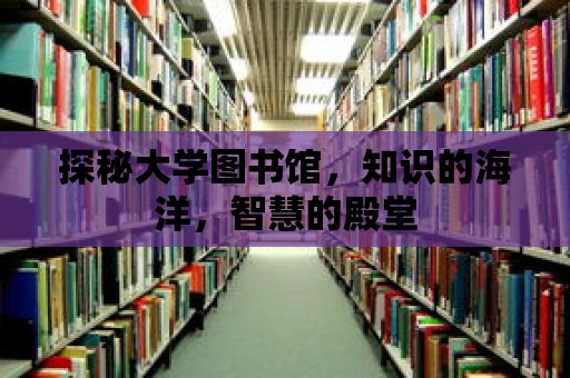 探秘大學(xué)圖書館，知識(shí)的海洋，智慧的殿堂