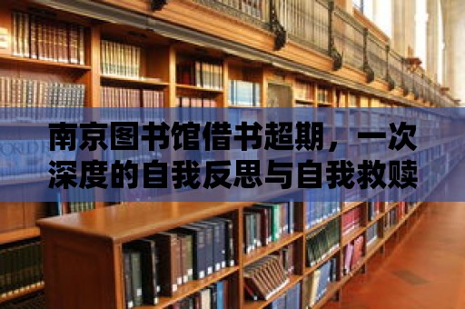 南京圖書館借書超期，一次深度的自我反思與自我救贖