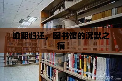 逾期歸還，圖書館的沉默之痛