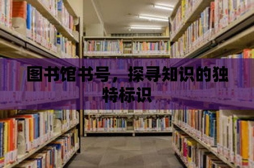 圖書館書號(hào)，探尋知識(shí)的獨(dú)特標(biāo)識(shí)