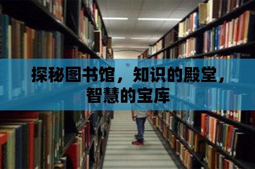 探秘圖書館，知識的殿堂，智慧的寶庫