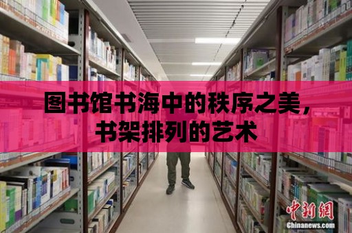 圖書館書海中的秩序之美，書架排列的藝術