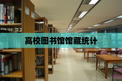 高校圖書館館藏統計