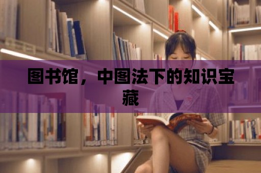 圖書館，中圖法下的知識(shí)寶藏