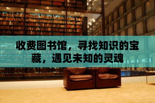 收費圖書館，尋找知識的寶藏，遇見未知的靈魂