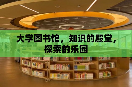 大學(xué)圖書館，知識的殿堂，探索的樂園