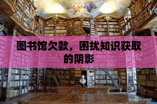 圖書館欠款，困擾知識獲取的陰影