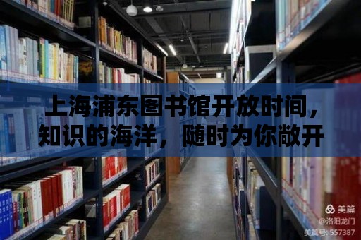 上海浦東圖書館開放時(shí)間，知識的海洋，隨時(shí)為你敞開